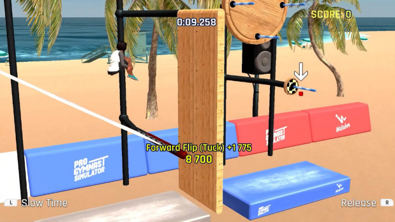 Pro Gymnast Simulator